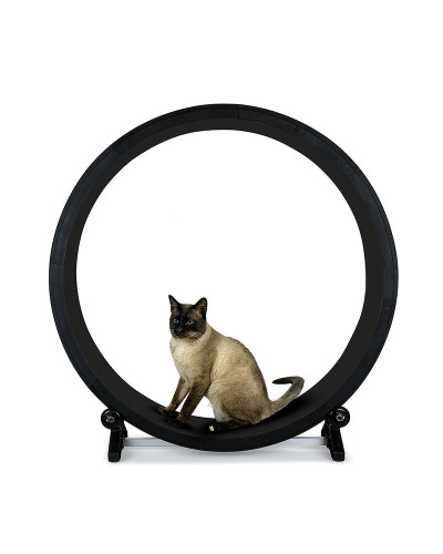 RUNNING EXERCISE WHEEL FOR CATS