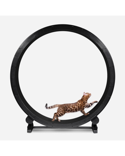 RUNNING EXERCISE WHEEL FOR CATS