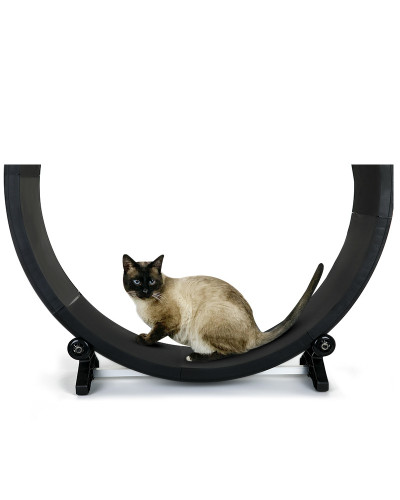 RUNNING EXERCISE WHEEL FOR CATS